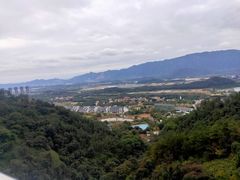 -南丹山森林王国
