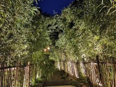 -大雁塔文化休闲景区-北广场
