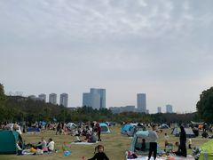 -艾溪湖湿地公园