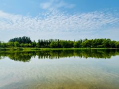-东郊湿地公园