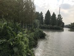 -九科绿洲