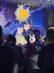 -上海中心宴会厅·婚礼中心