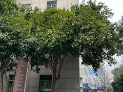 -浙江大学医学院附属第一医院(庆春院区)