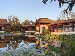 -上海滨江森林公园