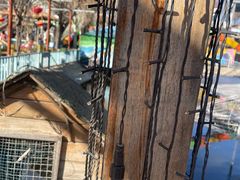 -北京鹿世界主题园