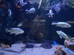 -华夏文旅海洋公园