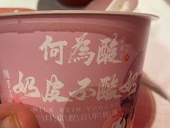 -大鸭梨烤鸭·北京菜(大兴南小街店)