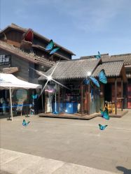 -恐龙探索乐园(磁器口店)