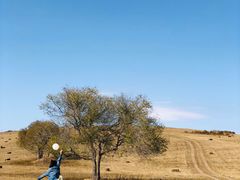 -塞罕坝国家级自然保护区