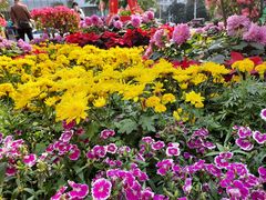 -北海市海滨公园