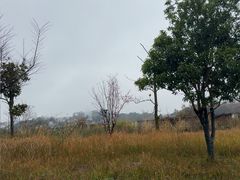 -天河潭旅游度假区