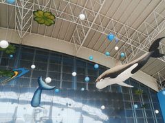 -泉城欧乐堡海洋极地世界