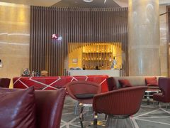 -南京禄口机场雅高铂尔曼大酒店