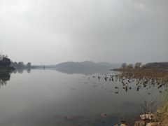 -东湖落雁景区