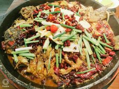 -老板恋上鱼(恒隆广场店)