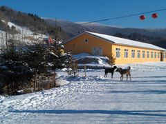 -雪谷
