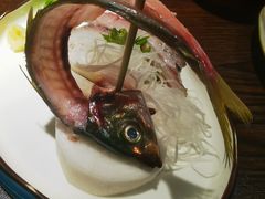 -桂马·日本料理·海胆·海鲜饭·酒场(民主广场店)