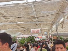 -秦美花卉(天朗·莱茵小城2期店)