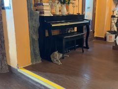 -猫岛主趣味餐厅(鼓浪屿店)