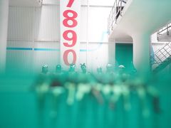 -重庆市奥林匹克体育中心-游泳跳水馆