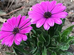 -云峰山自然风景区