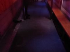-窄巷子陕菜馆·地道陕西菜(粉巷店)