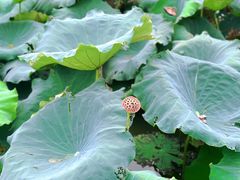 -丝绸小镇荻港古村