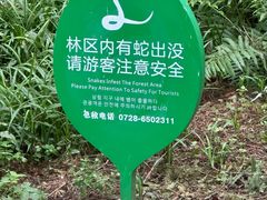 -水杉园