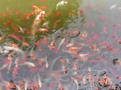 -太白山御龙湾温泉