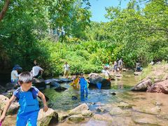 -重庆彩云湖湿地公园