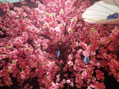 -福州奇幻解压馆(东泰禾旗舰店)