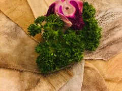 -老码头火锅(骡马市店)