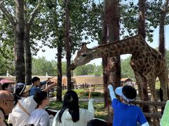 -大连森林动物园