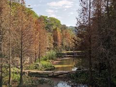 -云溪植物园