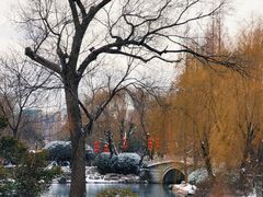 -济南大明湖景区