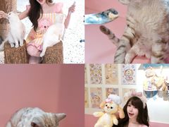 -毛绒耶耶撸宠馆·猫咖·狗咖·荷兰猪咖