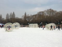 -紫竹院公园冰场