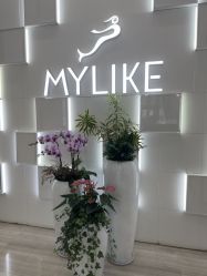 -深圳美莱医疗美容医院