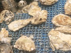 -宴立方海鲜自助(义乌万达广场店)