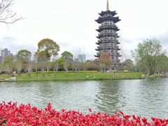 -洋湖国家湿地公园