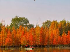 -白鹭湾湿地公园