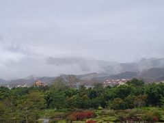 -中国科学院西双版纳热带植物园