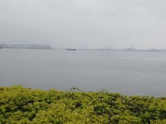 -海鸥岛