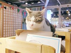 -小时光咖啡馆(开森度假森林店)