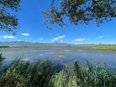 -野鸭湖国家湿地公园