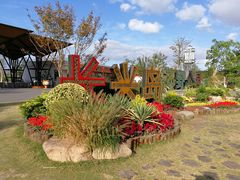 -上海长兴岛郊野公园