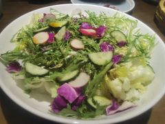 橄榄油大拌菜-向川南·水煮鱼·川菜(和平里店)