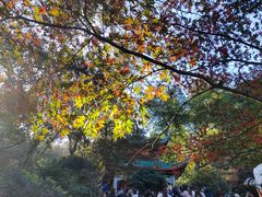 -岳麓山风景名胜区