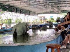 -光头佬钓虾场·烧烤·聚餐·亲子(金沙洲店)