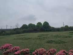 -秀丽东方